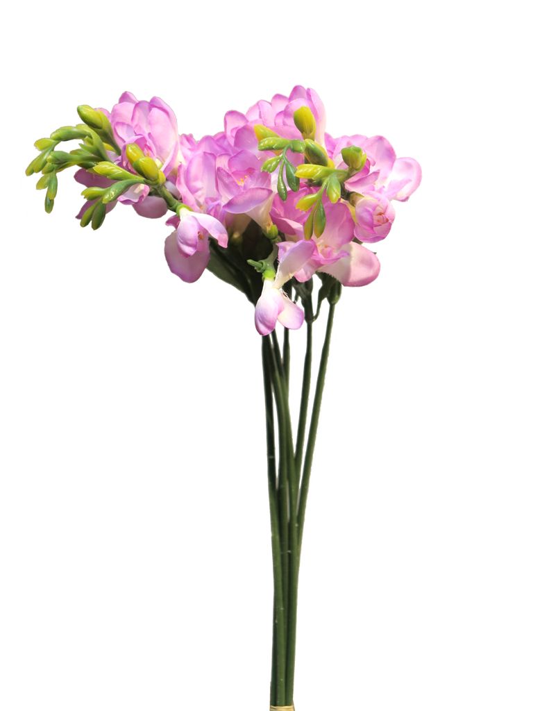 Frézie - Freesia svazek x 6 vialová (lavender) 46 cm