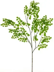 Akácie větev zelená (spray) V132 cm (N323451)