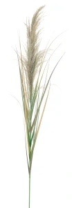 Rákosová větvička cibulová 180 cm