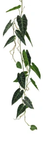 Alokázie listová girlanda zelená 105 cm