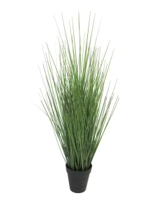 Kostřava kralovská v květináči zelená 61 cm