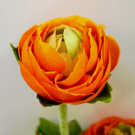 pryskyřník - ranonculus oranžový 48 cm