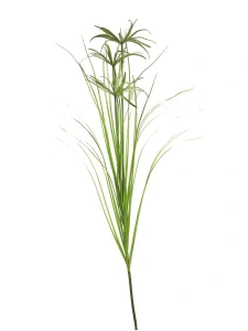 Tráva Papyrus 120cm