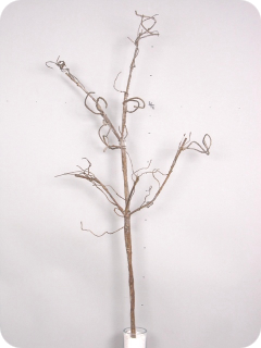 Flex twig branch hn2d8 v108 cm