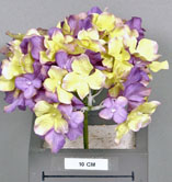 Hydrangea lavender head Inspire 18cm