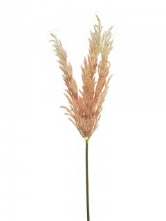 Tráva růžová (spray) 99 cm