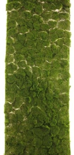 Mechová podložka 300 x 80 cm zelená (N324211)