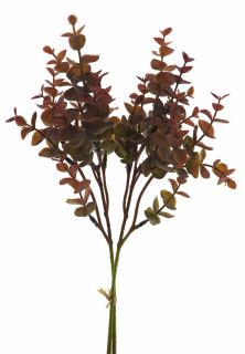 Blahovičník - Eukalyptus svazak červený (burgundy) v39 cm (N950953)