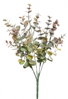 Blahovičník - Eukalyptus keř červ/zelená (x25) v34 cm (FB108383908)