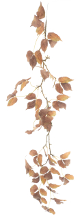 Horský list girlanda hnědá délka 122 cm